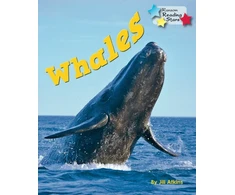 KNYGA Jill Atkins Whales