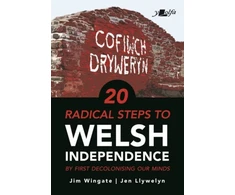 KNYGA Jim Wingate 20 Radical Steps to Welsh Independence