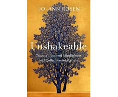 KNYGA Joann Rosen Unshakeable