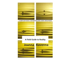 KNYGA Joanna Kavenna Field Guide to Reality
