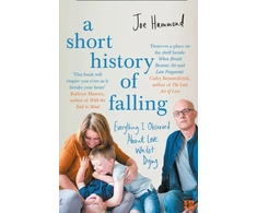 KNYGA Joe Hammond Short History of Falling