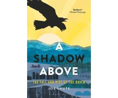 KNYGA Joe Shute Shadow Above