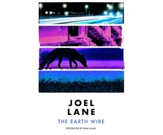 KNYGA Joel Lane Earth Wire