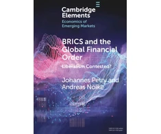 KNYGA Johannes Petry BRICS and the Global Financial Order