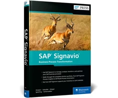 KNYGA Johannes Strasser SAP Signavio