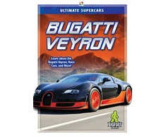 KNYGA John Martin Bugatti Veyron