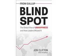 KNYGA Jon Clifton Blind Spot