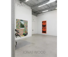 KNYGA Jonas Wood: Plants and Animals