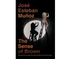 KNYGA Jos Esteban Muoz Sense of Brown