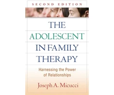 KNYGA Joseph A Micucci Adolescent in Family Therapy, Second Edition