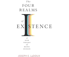 KNYGA Joseph E Ledoux The Four Realms of Existence