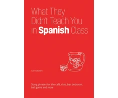 KNYGA Juan Caballero What They Didn't Teach You In Spanish Class