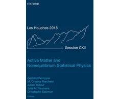 KNYGA Julien Tailleur Active Matter and Nonequilibrium Statistical Physics