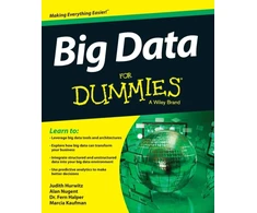 KNYGA Jun Yu Big Data For Dummies