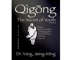 KNYGA Jwing Ming Yang Qigong Secret of Youth