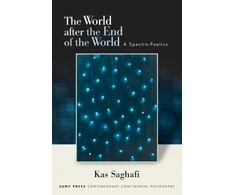KNYGA K. A. S. SAGHAFI World after the End of the World