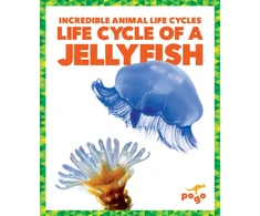 KNYGA Karen Latchana Kenney Life Cycle of a Jellyfish