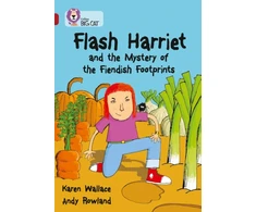 KNYGA Karen Wallace Flash Harriet and the Mystery of the Fiendish Footprints
