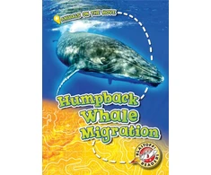 KNYGA Kari Schuetz Humpback Whale Migration