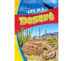 KNYGA Kari Schuetz Life in a Desert