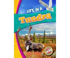 KNYGA Kari Schuetz Life in a Tundra
