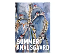 KNYGA Karl Ove Knausgaard Vasara