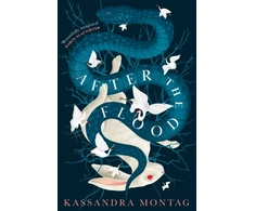 KNYGA Kassandra Montag After the Flood