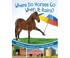 KNYGA Katherine Rawson Where Do Horses Go When It Rains?