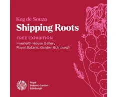 KNYGA Keg de Souza; Sarah Worral Shipping Roots