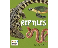 KNYGA Kelly Gaffney Reptiles