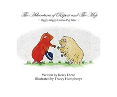 KNYGA Kerry Dinte Adventures of Rupert and The Mop