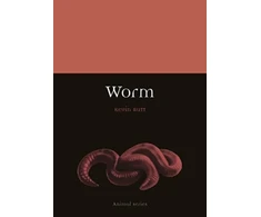 KNYGA Kevin Butt Worm