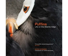 KNYGA Kevin Morgans Puffins