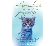 KNYGA Kim Sheridan Animals and the Afterlife