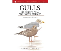 KNYGA Klaus Malling Olsen Gulls of Europe, Asia and North America
