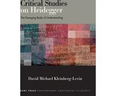 KNYGA Kleinberg Levin Critical Studies on Heidegger