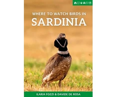 KNYGA Ilaria Fozzi Where to Watch Birds in Sardinia