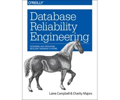 KNYGA Laine Campbell Database Reliability Engineering