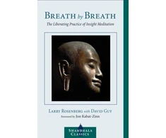 KNYGA Larry Rosenberg Breath by Breath