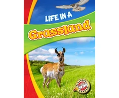 KNYGA Laura Hamilton Waxman Life in a Grassland