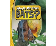 KNYGA Laura K Murray Why Do We Need Bats?