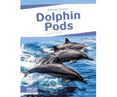 KNYGA Laura Perdew Dolphin Pods