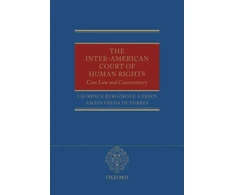 KNYGA Laurence Burgorgue Larsen Inter-American Court of Human Rights