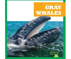 KNYGA Leahy Gray Whales