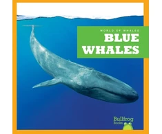 KNYGA Leahy Mėlyna Whales