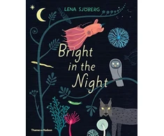 KNYGA Lena Sjberg Bright in the Night