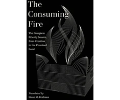KNYGA Liane Feldman Consuming Fire