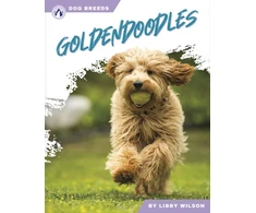 KNYGA Libby Wilson Goldendoodles