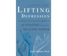 KNYGA Kelly Lambert Lifting Depression