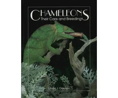 KNYGA Linda J Davison Chameleons